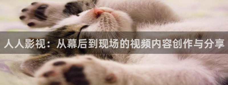 91麻豆影院在线观看午夜