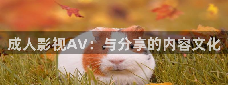 播播影院之麻豆av