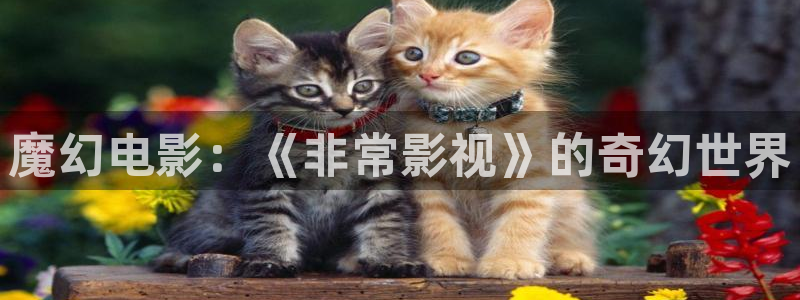 国产麻豆精品影院