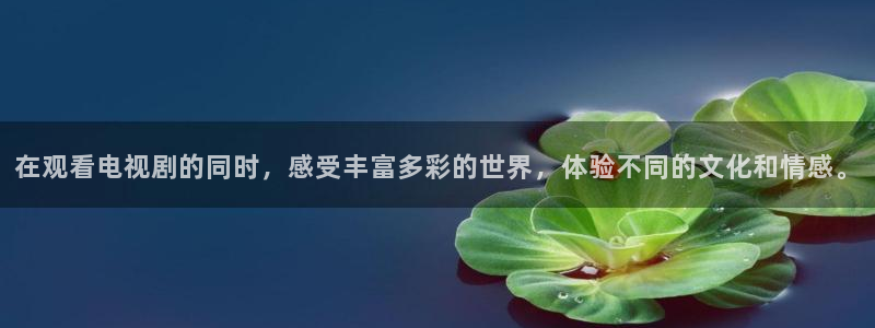 麻豆成人午夜电影