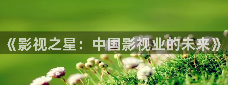 麻豆高清不卡视频