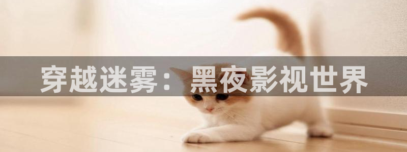 麻豆.www：穿越迷雾：黑夜影视世界